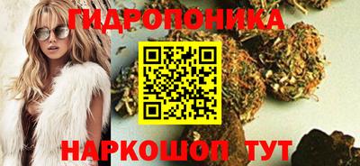 стаф Тверь